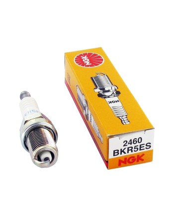 Запалителна Свещ NGK 2460